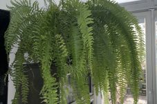 Apartment in Dublin - South Dublin Central 3 Bedroom Apartment